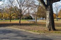 A shot of a park bench surrounded by fallen autumn leaves surrounded by gorgeous autumn colored trees and lush green grass Royalty Free Stock Photo