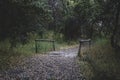 Shot of a path in the woods with a wooden bridge over a small stream Royalty Free Stock Photo