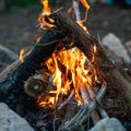 Shot of pieces of woods and branches burning together in a campfire Royalty Free Stock Photo