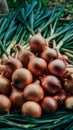 shot Pile of fresh onions evokes the essence of farm freshness