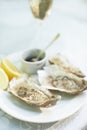 And for starters.... Shot of a plate of oysters sitting on a table with a glass of wine.