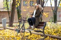 Pretty young woman looking to the sky with arms raised as leaves fall from the trees sitting on bench in the park in autumn. Royalty Free Stock Photo