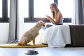 Pretty young woman using her mobile phone while staying with her dog at home Royalty Free Stock Photo