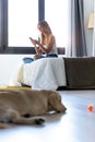 Pretty young woman using her mobile phone while staying with her dog at home Royalty Free Stock Photo