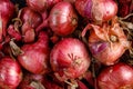 Shot Of Purple Onions. Fresh whole purple onions