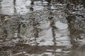 Shot of rain water puddle