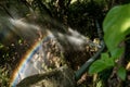 A shot of rainbow formed after dispersion of light by a water spray