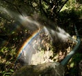 A shot of rainbow formed after dispersion of light by a water spray