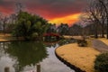 A shot of a red and black arched bridges over a still green lake in a Japanese garden surrounded by yellow winter grass Royalty Free Stock Photo