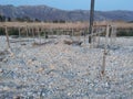 shot of scrap poles on a pebble beach by the Ionian Sea in Orikhum