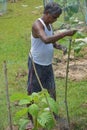 A shot of a senior man protect a new plant. nourishing trees Royalty Free Stock Photo