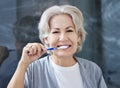 I still have all my teeth because I take good care of it. Shot of a senior woman brushing her teeth at home. Royalty Free Stock Photo