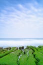 Laomei Green Reef - Taiwan North Coast seasonal features, shot in Shimen District, New Taipei, Taiwan. Royalty Free Stock Photo