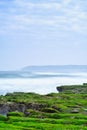 Laomei Green Reef - Taiwan North Coast seasonal features, shot in Shimen District, New Taipei, Taiwan. Royalty Free Stock Photo