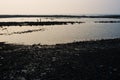 Shot of the silhouette of boys catching fish on low tide shoreline in Mumbai, India