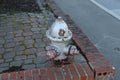 A shot of a silver fire hydrant surrounded by a red brick side walk on a corner near the street in Douglasville Royalty Free Stock Photo