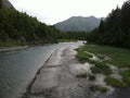 Slow river through the trees