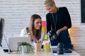 Smiling entrepreneur women reviewing last photographs in the camera for they next work in the office Royalty Free Stock Photo