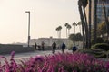 A shot of a smooth winding bike trail at the beach at sunset with people riding and walking on the trail surrounded by palm trees Royalty Free Stock Photo