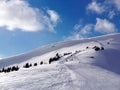 Shot of snowy slopes of Vail ski resort in Colorado Royalty Free Stock Photo