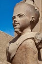 shot of the statue of queen Hatshepsut in the Temple of Karnak, Luxor, Egypt Royalty Free Stock Photo