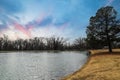 A shot of a still green lake surrounded by bare winter trees and yellow winter grass along the banks of the lake Royalty Free Stock Photo