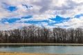 A shot of a still green lake surrounded by bare winter trees and yellow winter grass along the banks of the lake Royalty Free Stock Photo