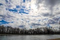 A shot of a still green lake surrounded by bare winter trees and yellow winter grass along the banks of the lake Royalty Free Stock Photo