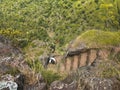 Shot of a stone carved staircase build in a mountain