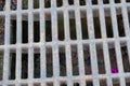 Shot of storm drain manhole, metal cover for outdoor drainage