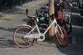 2019103010Ã¯Â¼Å¡Bike sharing on the streets of Beijing