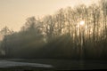 Shot of sun rays falling on the last snow on a meadow through trees Royalty Free Stock Photo