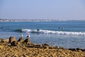 A shot of surfers riding waves in the vast blue ocean water near the pier with seagulls standing on rocks along the beach Royalty Free Stock Photo