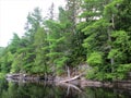 Early morning view of a Lake