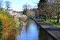 Tavistock Canal 2 Royalty Free Stock Photo