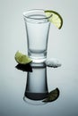 Tequila shot with salt and lemon Royalty Free Stock Photo