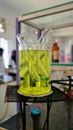 Shot of test tubes floating on green coloured reagents in a beaker.