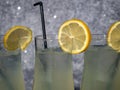 Shot of three lemonade cocktails refreshing summer drinks Royalty Free Stock Photo