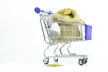 Shot of a tiny sack of golden coins in a shopping cart on a white background with copy space