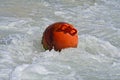 Round red buoy riding the sea waves Royalty Free Stock Photo