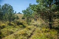 Shot of two cyclers cycling down from a mountain in Slovenia Royalty Free Stock Photo