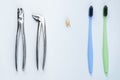 Shot of two dental tools with tooth on isolated white background Royalty Free Stock Photo
