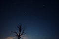 shot of the virgo constellation in a pitch black sky