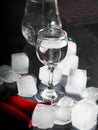A shot of vodka, an alcoholic beverage, next to ice, fire, ice, red chili pepper. The concept of alcohol, spirits Royalty Free Stock Photo