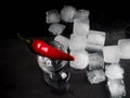 a shot of vodka, an alcoholic beverage, next to ice, fire, ice, red chili pepper. The concept of alcohol, spirits Royalty Free Stock Photo