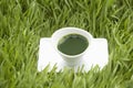 Shot of Wheatgrass Juice