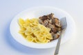 Shot on a white background. No isolation. White plate in it pasta and a piece of meat and a fork