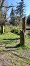 A shot of witches stones in front of a stream deep in the woods, Stover Country Park, Devon, UK