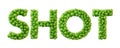 Shot word made from green bacteria cell molecule font. Health and wellbeing. 3D Rendering