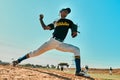 He has a strong throwing arm. Shot of a young baseball player pitching the ball during a game outdoors. Royalty Free Stock Photo